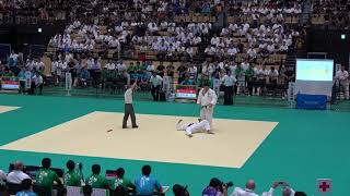 2018IH 柔道男子 100kg超級 準決勝 大石 横浜桜丘（神奈川県） 対 斉藤立 国士舘（東京都）