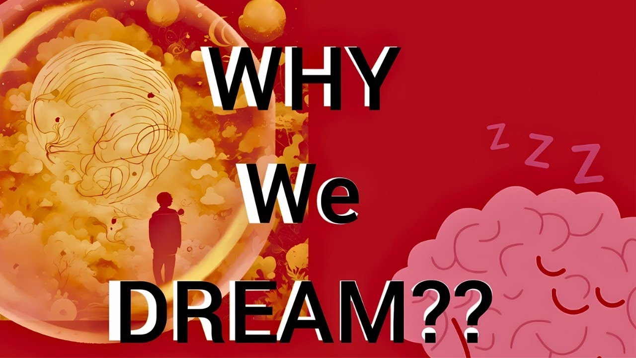 Dream Decoded: The Science Behind Your Nightly Adventures ! - YouTube