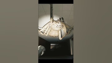 THIS GAME MAKES YOU HATE SPIDERS 💀 #scary #gaming