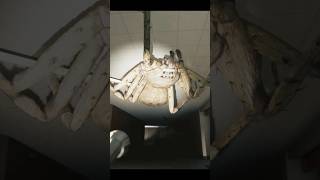 このゲームを観るとクモが嫌いになる💀 #怖い #ゲーム screenshot 1