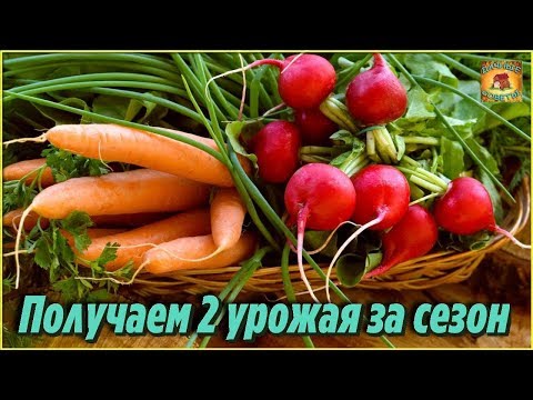 Видео: Быстрорастущие овощи