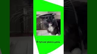 Хто мало спить - тупить увесь день