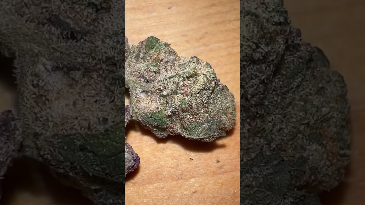 Demecan 27/01 Tally Man 26,6% THC NAHAUFNAHME