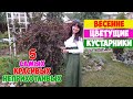 5 КРАСИВЫХ И НЕПРИХОТЛИВЫХ ВЕСЕННИХ КУСТАРНИКОВ для САДА! Калина, Спирея, Барбарис, Вейгела, Айва.