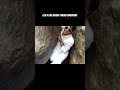 Gta 5 Like adventure #shortsfeed #adventure #shorts #mountains