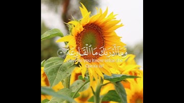 قران كريم ايات من الذكر الحكيم سورة القارعة بصوت الشيخ ماهر المعيقلي#قران_كريم