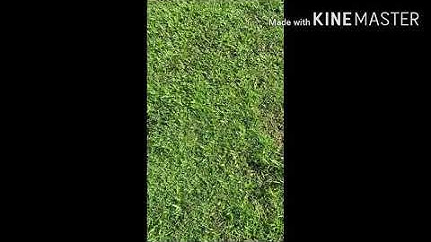 SAAIH HALILINTAR NAIK KUDA | DAY 15 | TERBARU