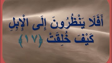 سورة الغاشية ملونة وبدقة عالية للقارئ محمد رشاد الشريف