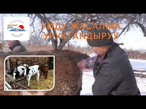 Video: COB канча убакытта кургайт?