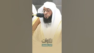 تلاوه جميلة الشيخ بدر التركي. وَأَوْحَيْنَا إِلَىٰ أُمِّ مُوسَىٰ أَنْ أَرْضِعِيهِ ۖ ...
