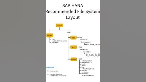 SAP HANA -File Systems |  #database #hana #saphana #basis #sap #sapbasis #dbms #sapcloud #admin