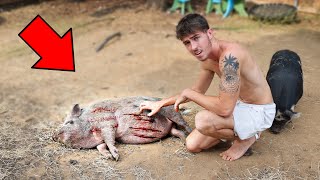 MY PIG GOT ATTACKED !