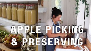 Picking Summer Apples | Preserving Apples Recipes
