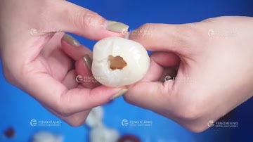 CL-I Litchi Lychee longan pitting machine, de-core machine