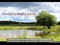 На городі верба рясна. Автентичний спів Донеччини, село Богоявленка Марїнського району.