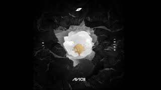 Avicii - Without You (Official Instrumental Extended V2)