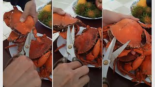 Opening CRAB easily with a scissor in Vietnam - Eating Vietnam seafood street food