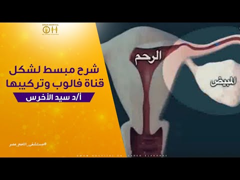 شرح مبسط لشكل قناة فالوب وتركيبها