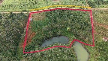 BÁN GẤP TRONG TUẦN LÔ ĐẤT GIÁ ĐẦU TƯ ĐÂY RỒI 1.3 HA BÁM 139 MÉT BÊ TÔNG AO CÁ TO LH 0979.653.223