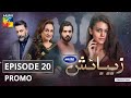 Zebaish | Episode 20 | Promo | Digitally Powered By Master Paints | HUM TV | Drama | 16 October 2020