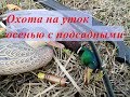 Охота на уток осенью с подсадными | Выпуск №116 (UKR)