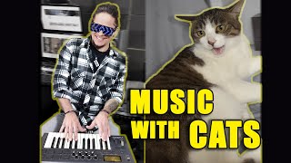 Hilarious cat complains about petting! Music composed with funny meows! Música dos miados engraçados Resimi