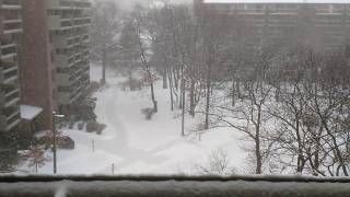 Snow in Quincy
