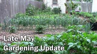 Late May Gardening Update - Already Setting On Peppers and More