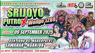 Live NSJP ft Rogo Samboyo Putro SCT AUDIO Joho Margopatut Sawahan Nganjuk