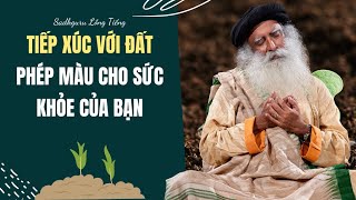 Tiếp Xúc Với Đất Sự Màu Nhiệm Cho Sức Khỏe | Sadhguru Lồng Tiếng #169