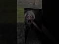 Angelina spider sawer escape in granny game sewer