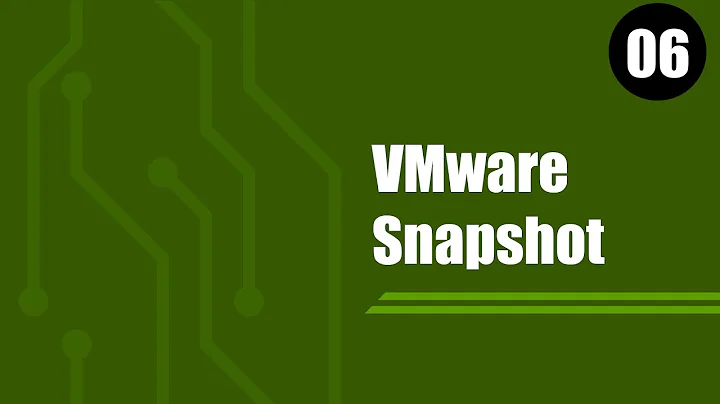 06.  VMware ESXi Snapshot explained