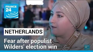 Praise and fear after Dutch populist Wilders' election win • FRANCE 24 English