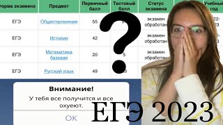 СДАЛА ЕГЭ ПО ИСТОРИИ НА 100 БАЛЛОВ?? Моя история сдачи егэ | егэ 2023 / история русский общество