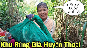 Vợ Chồng Út Trở Lại Khu Rừng Già Huyền Thoại Đặt Bẫy Rắn The Old Forest Snake Trap ||Góc Miền Tây 1