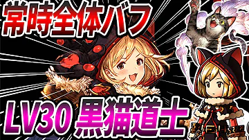 黒猫道士 使い方