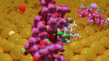 Protein Adsorption on a Gold Surface | Animation