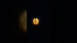 Download Lagu Betelgeuse Huge Star. MP3 Download Lagu Betelgeuse Huge Star. MP3