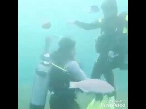 عايم في بحر الغدر
