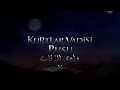 مسلسل وادى الذئاب الجزء الخامس الحلقة 51 
