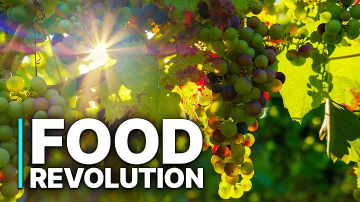 Food Revolution | AI Is Growing Your Food Now | The Shocking Future of Your Dinner Plate