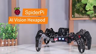 Hiwonder SpiderPi: AI Intelligent Visual Hexapod Robot Powered by Raspberry Pi