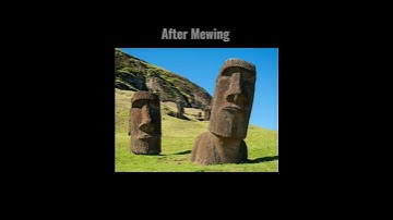 The best mewing  transformation you will see😲😲🤯😱 | #shorts #Meme #mewing