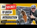 How to Add a Queen to a Hive - Mated Queen - How To Introduce a Queen