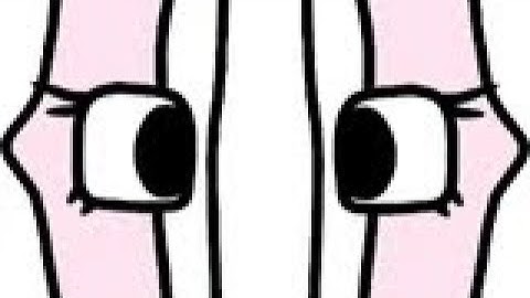 Math Lore without the lore. + to |x|