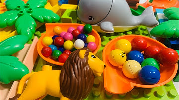 Marble Run Race ASMR-satisfying building blocks winding track lion