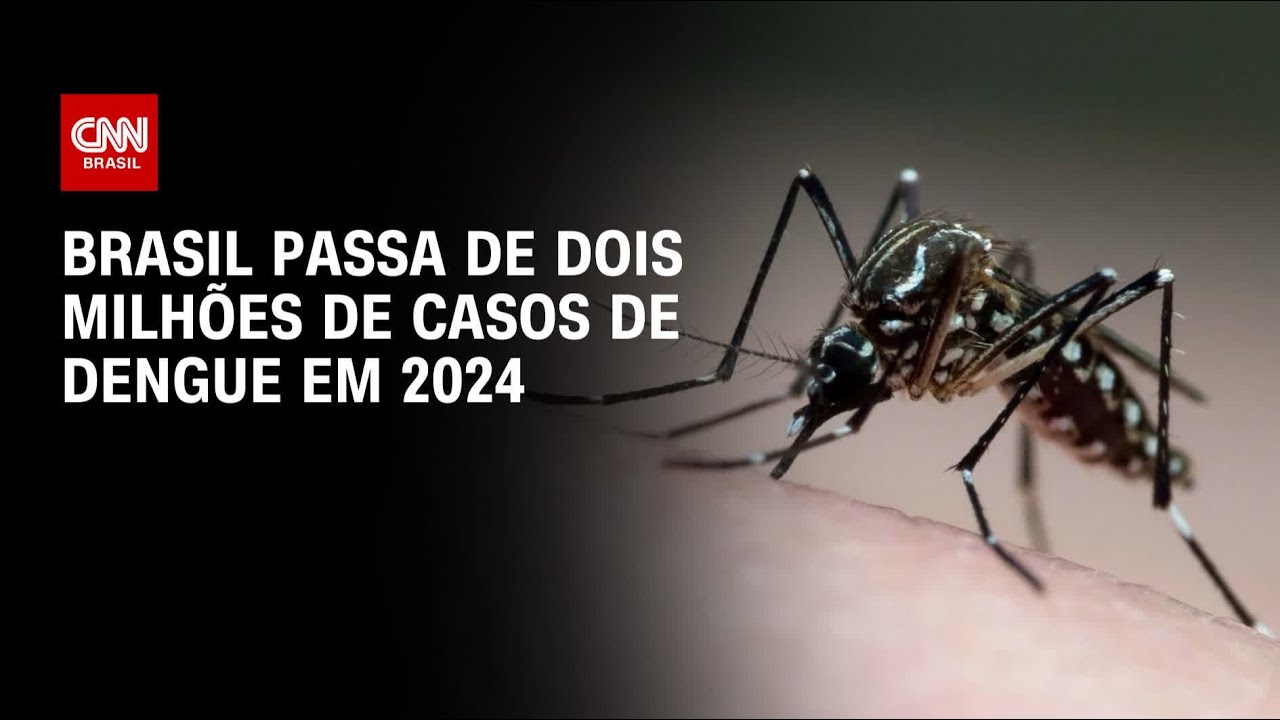 Brasil bate 2 milhões de casos de dengue em 2024 | CNN Brasil