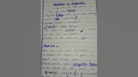 Introduction to selaginella