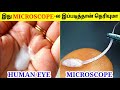     3  things you can see under microscope  tamil amazing facts