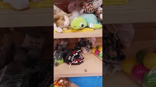 first time common threads thrift store brook park Ohio part2